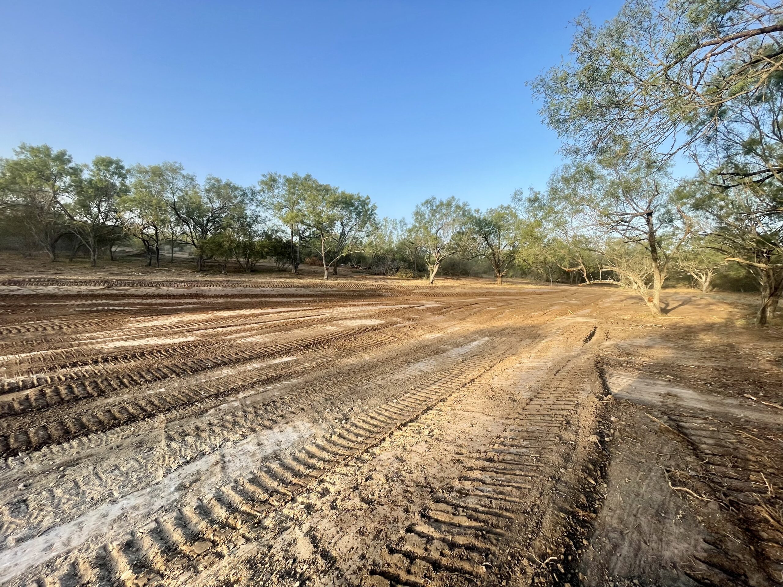 Catarosa Ranch Services *** Texas Deer Ranches *** Land & Ranch